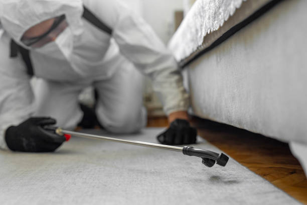 Professional Termite Control technician working in Attica, IN