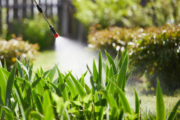 24/7 Emergency Termite Control experts in Attica, IN